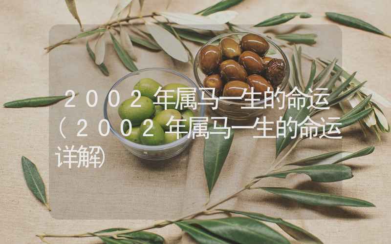 2002年属马一生的命运(2002年属马一生的命运详解)