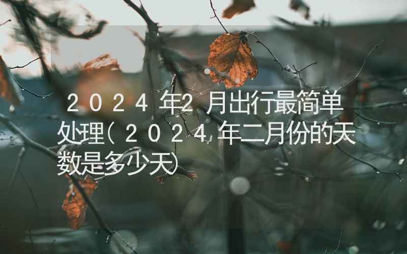 2024年2月出行最简单处理(2024年二月份的天数是多少天)