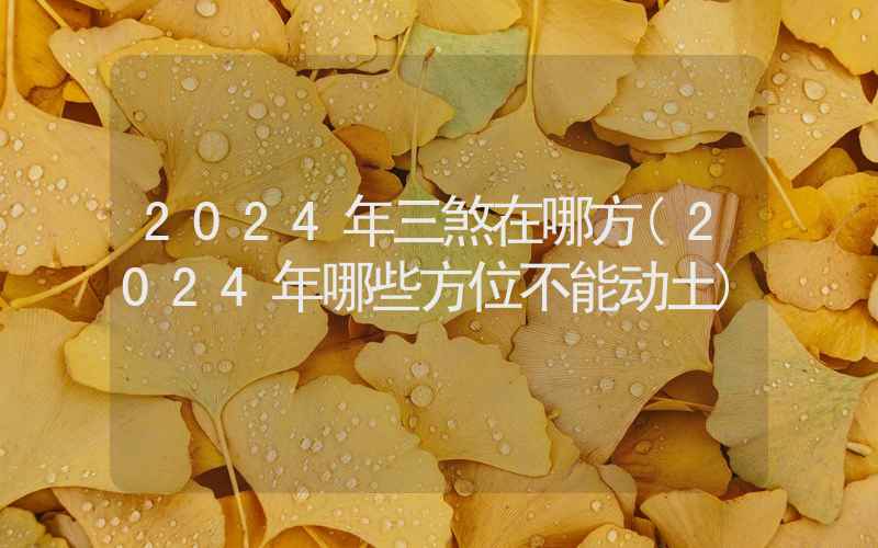 2024年三煞在哪方(2024年哪些方位不能动土)