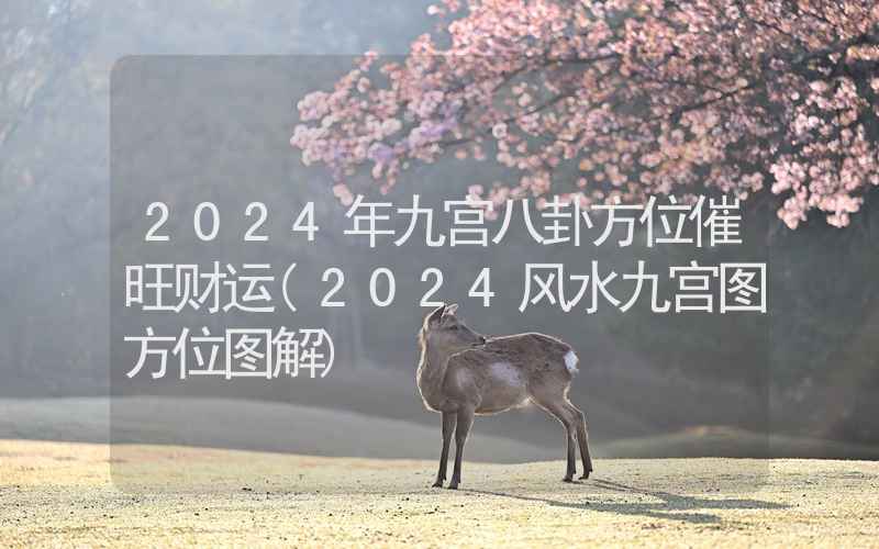 2024年九宫八卦方位催旺财运(2024风水九宫图方位图解)