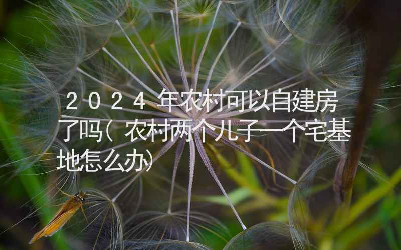 2024年农村可以自建房了吗(农村两个儿子一个宅基地怎么办)