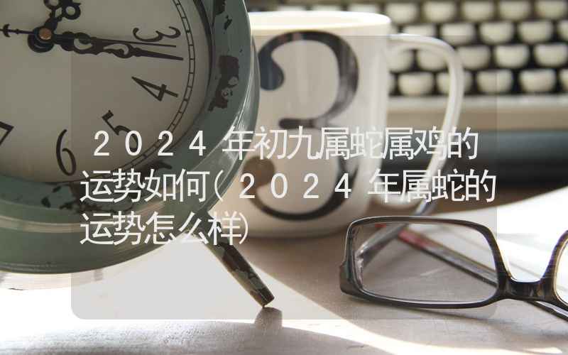 2024年初九属蛇属鸡的运势如何(2024年属蛇的运势怎么样)