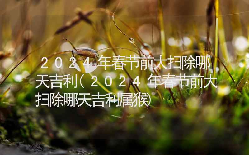 2024年春节前大扫除哪天吉利(2024年春节前大扫除哪天吉利属猴)