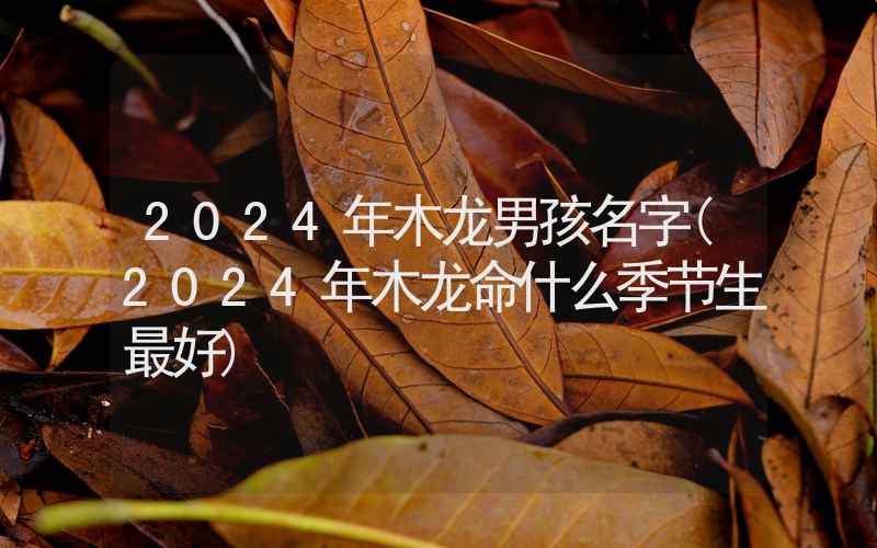 2024年木龙男孩名字(2024年木龙命什么季节生最好)