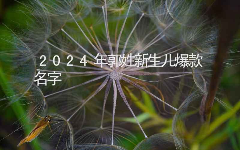 2024年郭姓新生儿爆款名字