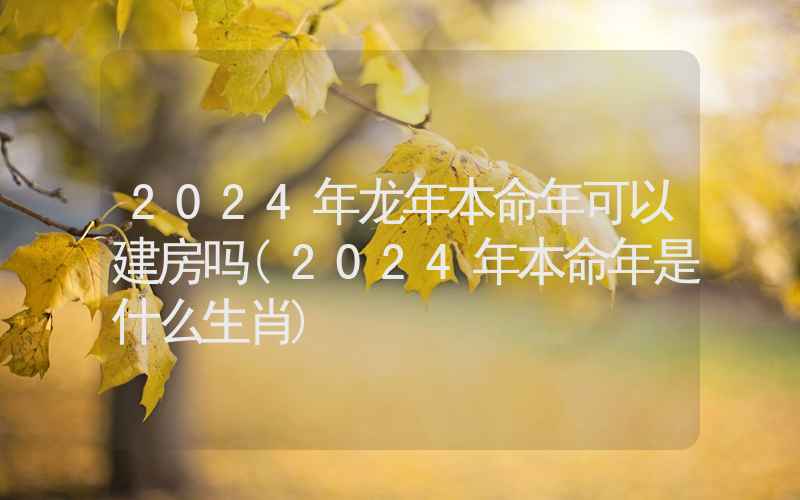 2024年龙年本命年可以建房吗(2024年本命年是什么生肖)