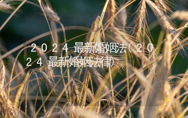 2024最新婚姻法(2024最新婚姻法律)