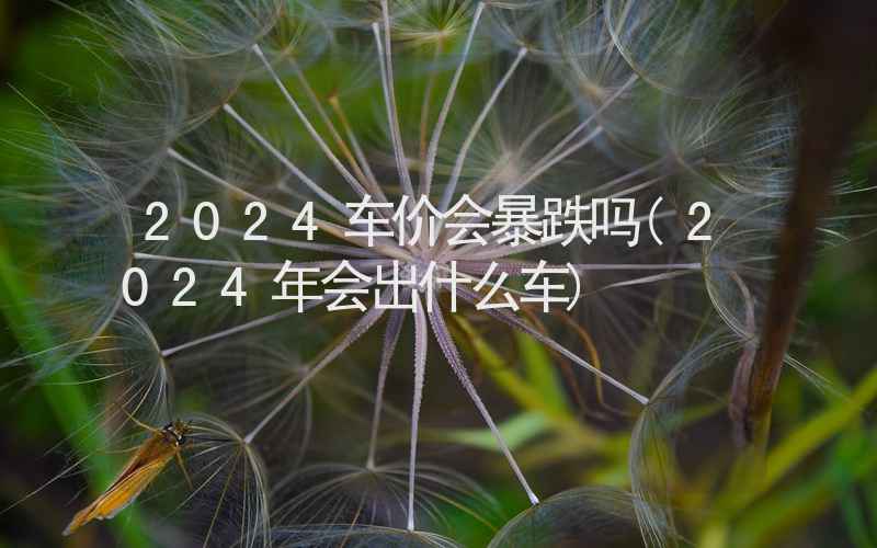 2024车价会暴跌吗(2024年会出什么车)