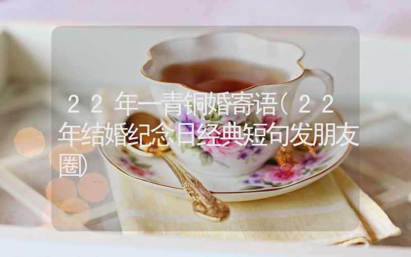 22年一青铜婚寄语(22年结婚纪念日经典短句发朋友圈)