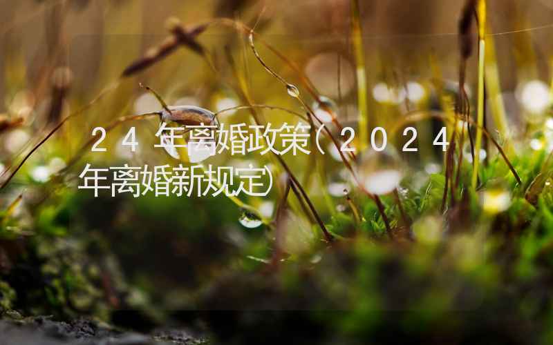 24年离婚政策(2024年离婚新规定)