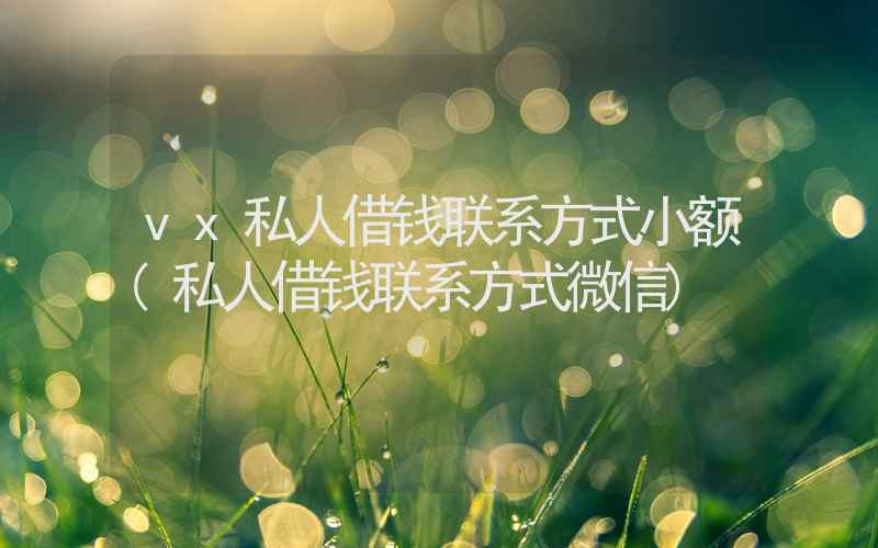 vx私人借钱联系方式小额(私人借钱联系方式微信)