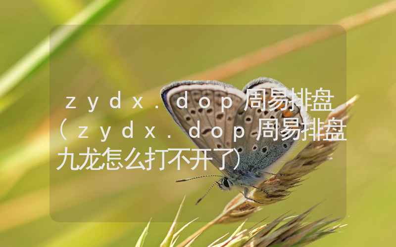 zydx.dop周易排盘(zydx.dop周易排盘九龙怎么打不开了)