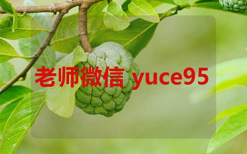 个体工商户取名字的注意事项(个体工商户取名字的注意事项是什么)