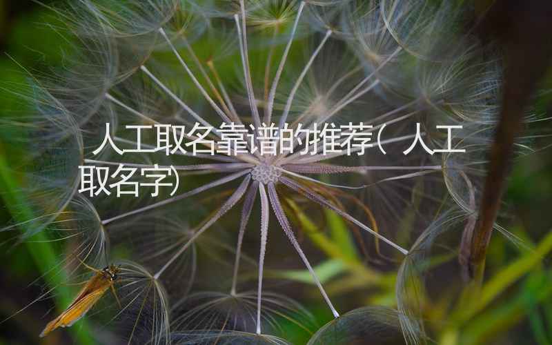 人工取名靠谱的推荐(人工取名字)