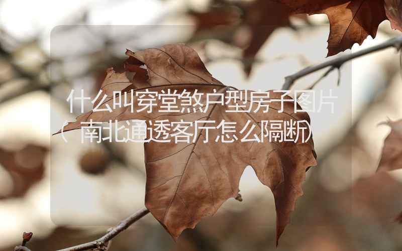 什么叫穿堂煞户型房子图片(南北通透客厅怎么隔断)