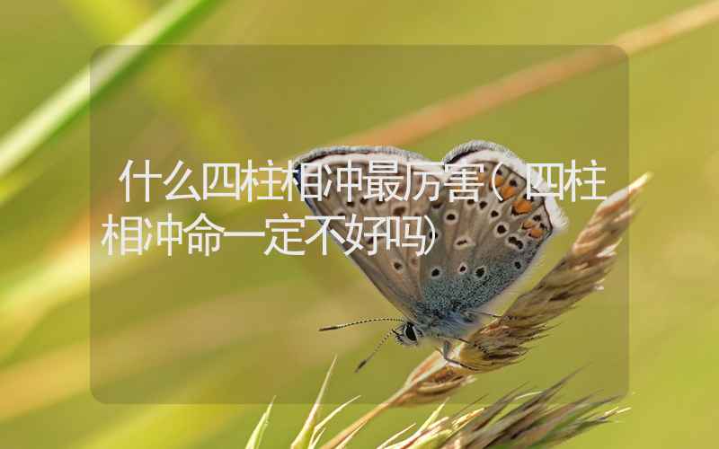 什么四柱相冲最厉害(四柱相冲命一定不好吗)