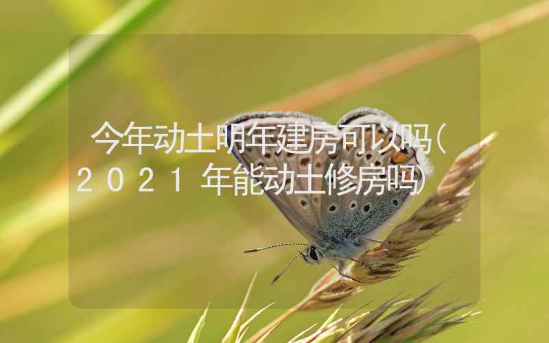 今年动土明年建房可以吗(2021年能动土修房吗)