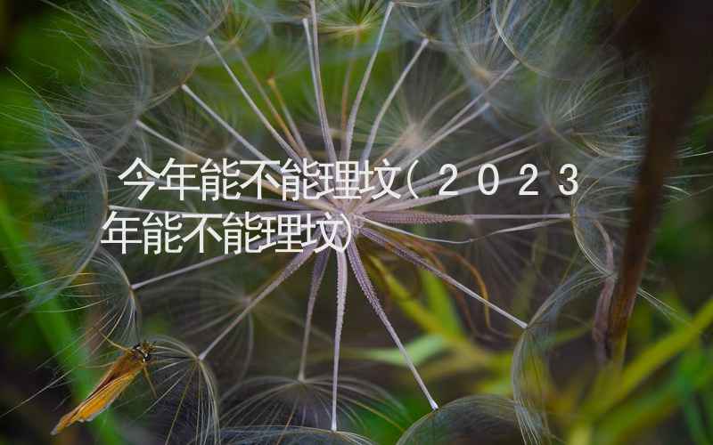 今年能不能理坟(2023年能不能理坟)