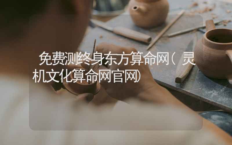 免费测终身东方算命网(灵机文化算命网官网)