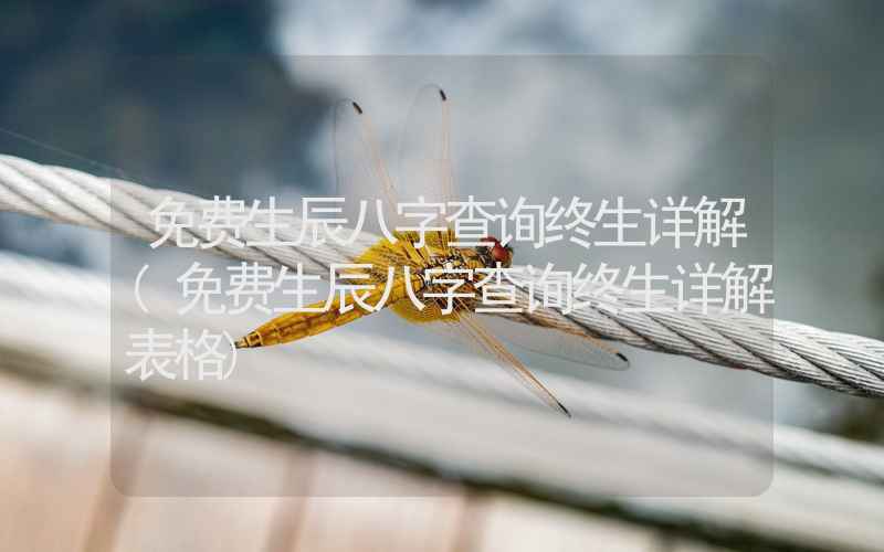 免费生辰八字查询终生详解(免费生辰八字查询终生详解表格)