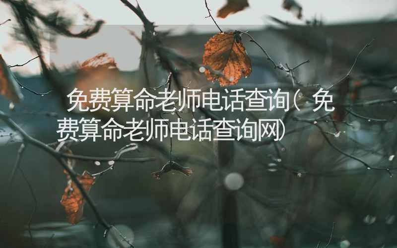 免费算命老师电话查询(免费算命老师电话查询网)