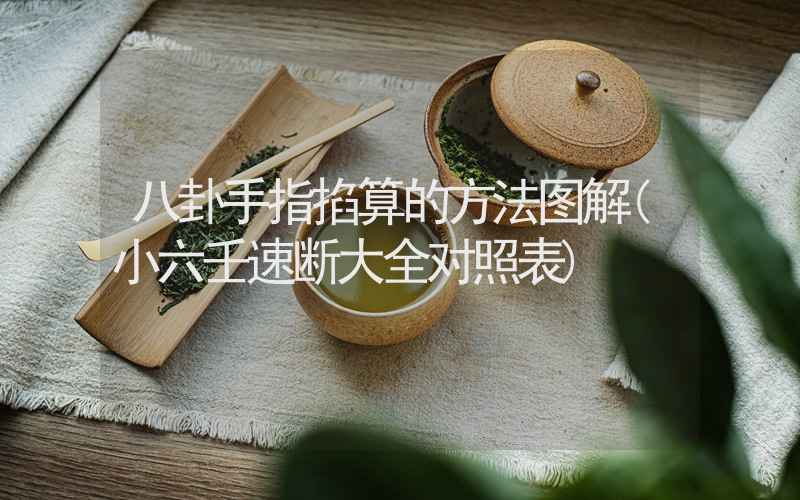 八卦手指掐算的方法图解(小六壬速断大全对照表)