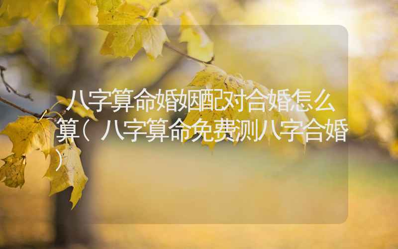 八字算命婚姻配对合婚怎么算(八字算命免费测八字合婚)