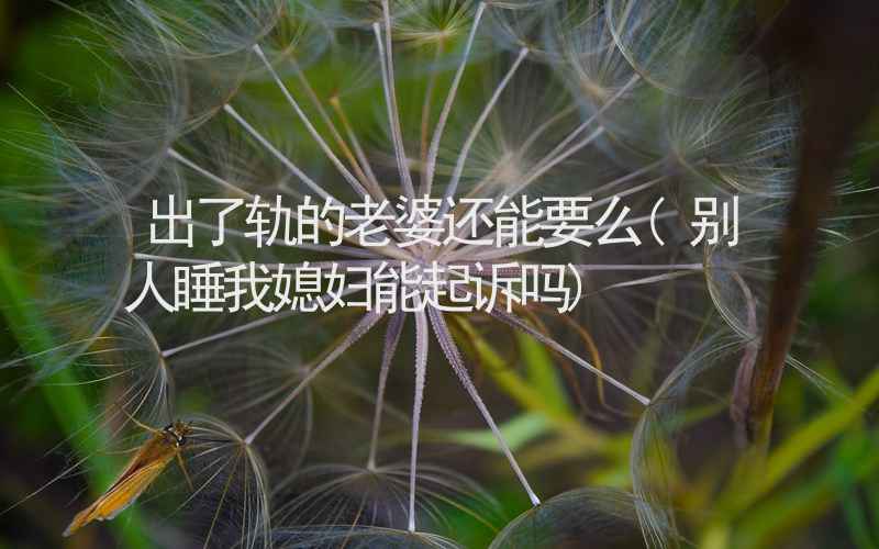 出了轨的老婆还能要么(别人睡我媳妇能起诉吗)