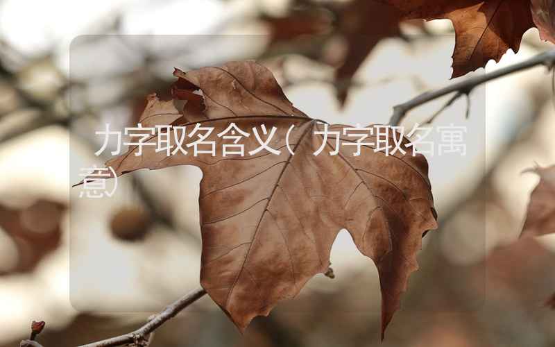 力字取名含义(力字取名寓意)