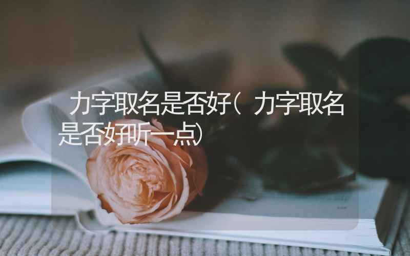 力字取名是否好(力字取名是否好听一点)