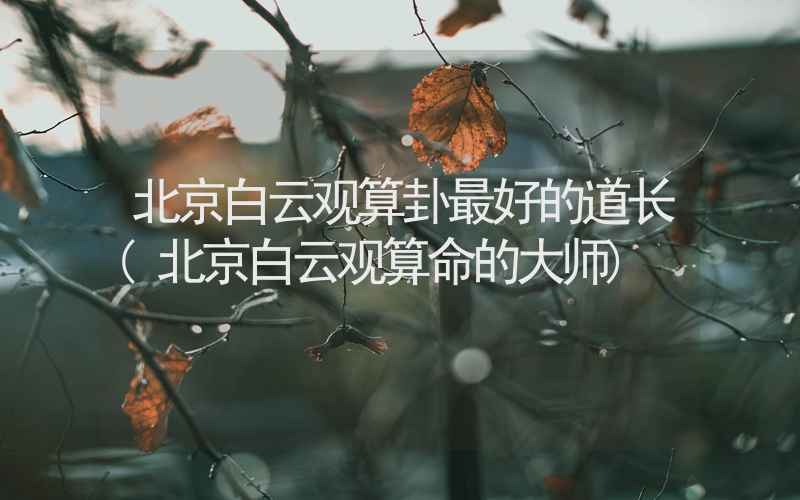 北京白云观算卦最好的道长(北京白云观算命的大师)