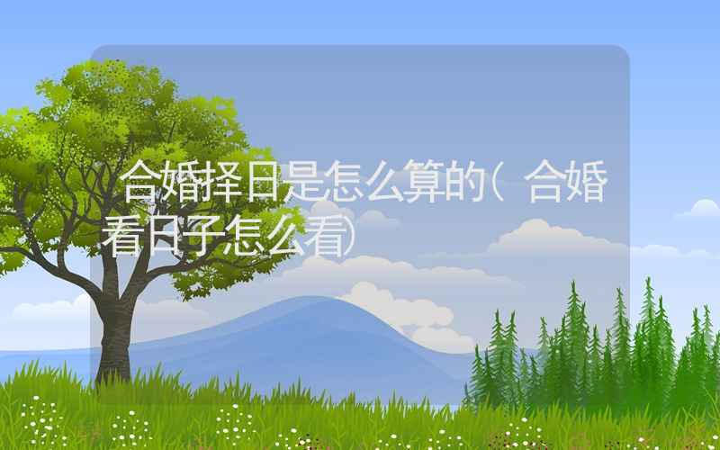 合婚择日是怎么算的(合婚看日子怎么看)