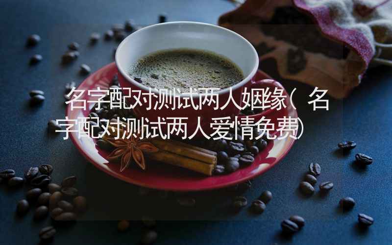 名字配对测试两人姻缘(名字配对测试两人爱情免费)