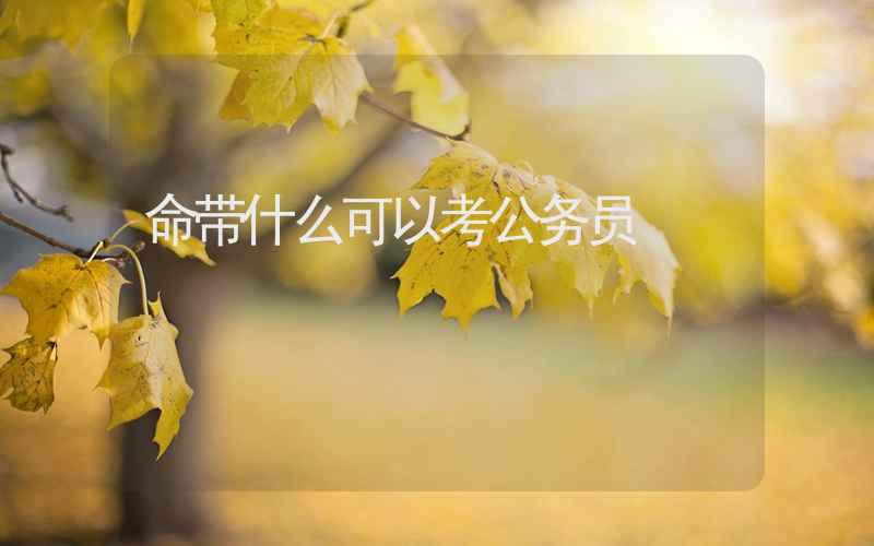 命带什么可以考公务员