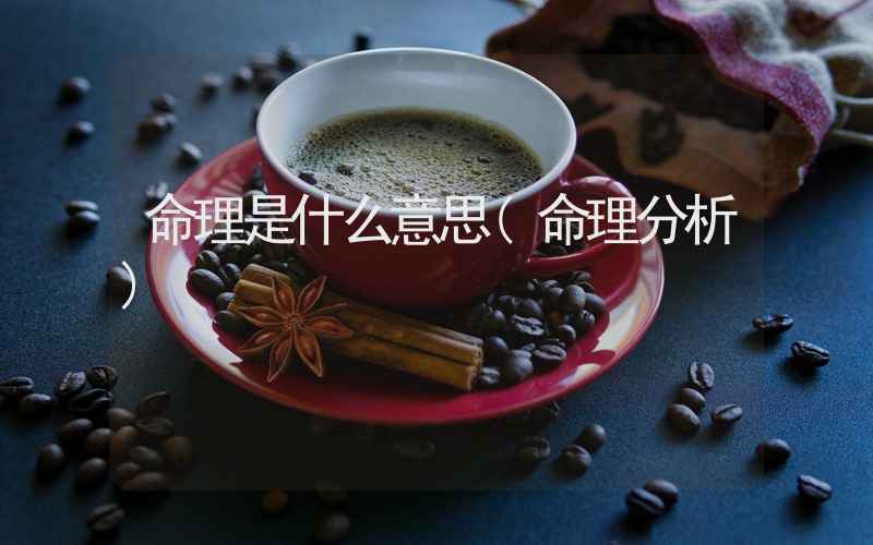 命理是什么意思(命理分析)