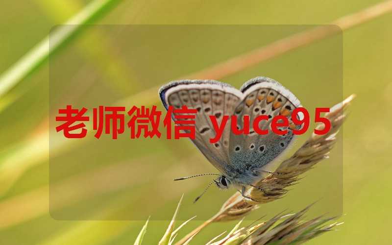 塔罗测今年能上岸吗(塔罗测试2021年会发生什么)