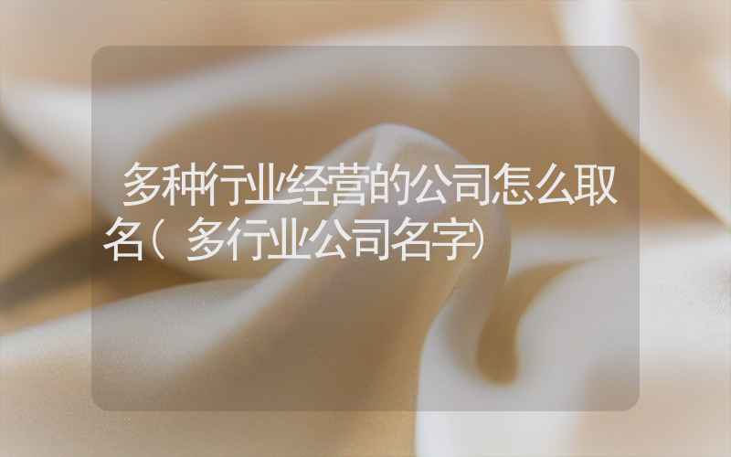 多种行业经营的公司怎么取名(多行业公司名字)