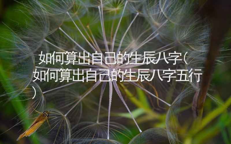 如何算出自己的生辰八字(如何算出自己的生辰八字五行)