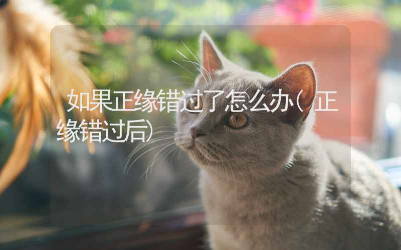 如果正缘错过了怎么办(正缘错过后)