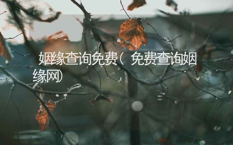 姻缘查询免费(免费查询姻缘网)