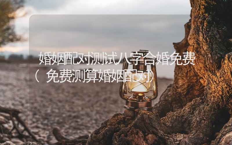 婚姻配对测试八字合婚免费(免费测算婚姻配对)