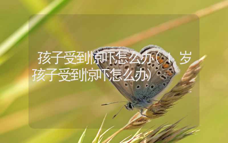 孩子受到惊吓怎么办(1岁孩子受到惊吓怎么办)