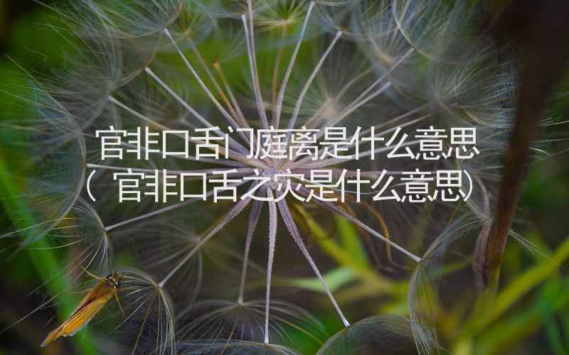 官非口舌门庭离是什么意思(官非口舌之灾是什么意思)