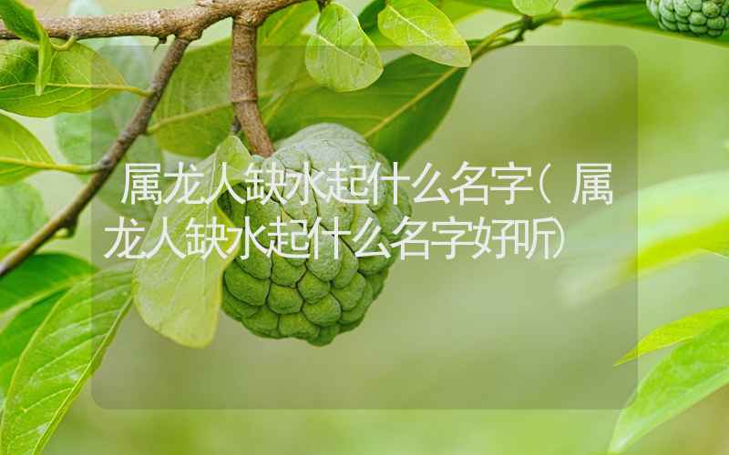 属龙人缺水起什么名字(属龙人缺水起什么名字好听)