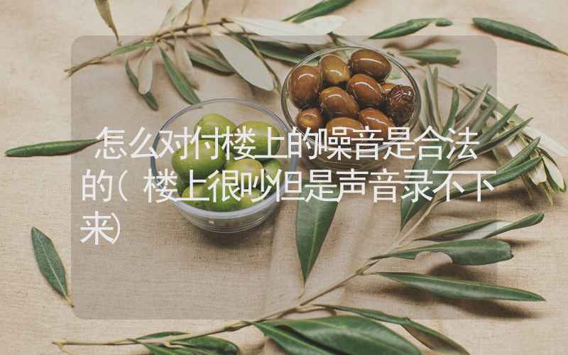 怎么对付楼上的噪音是合法的(楼上很吵但是声音录不下来)