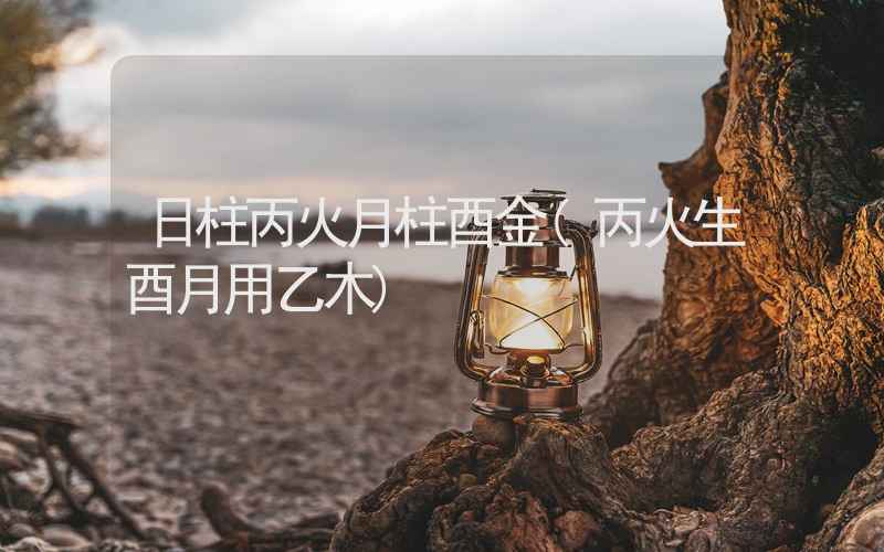 日柱丙火月柱酉金(丙火生酉月用乙木)