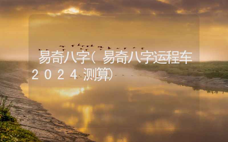 易奇八字(易奇八字运程车2024测算)