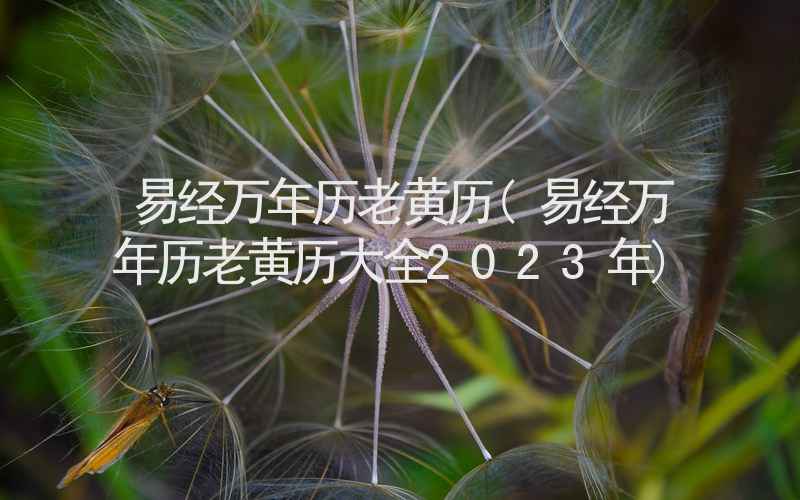 易经万年历老黄历(易经万年历老黄历大全2023年)