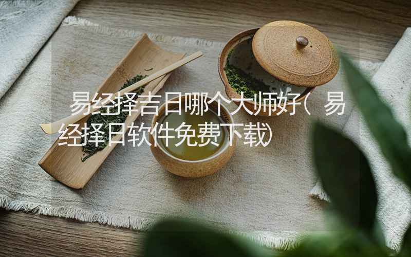 易经择吉日哪个大师好(易经择日软件免费下载)