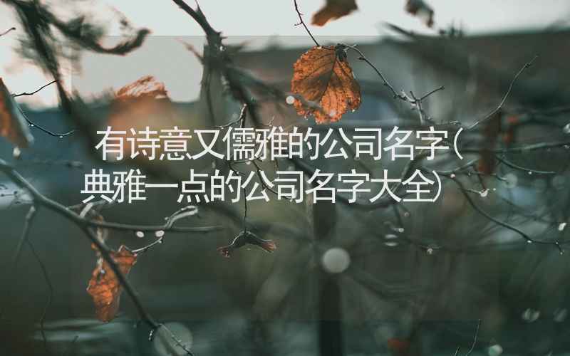 有诗意又儒雅的公司名字(典雅一点的公司名字大全)